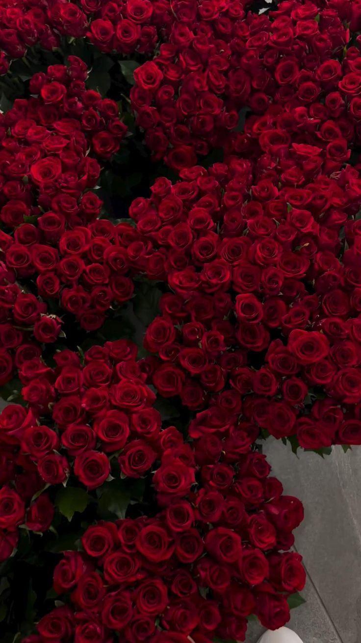 Polite Corner Vector workshop space where corporate flower arrangements are designed and prepared for business delivery